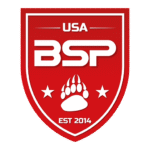 BSP logo